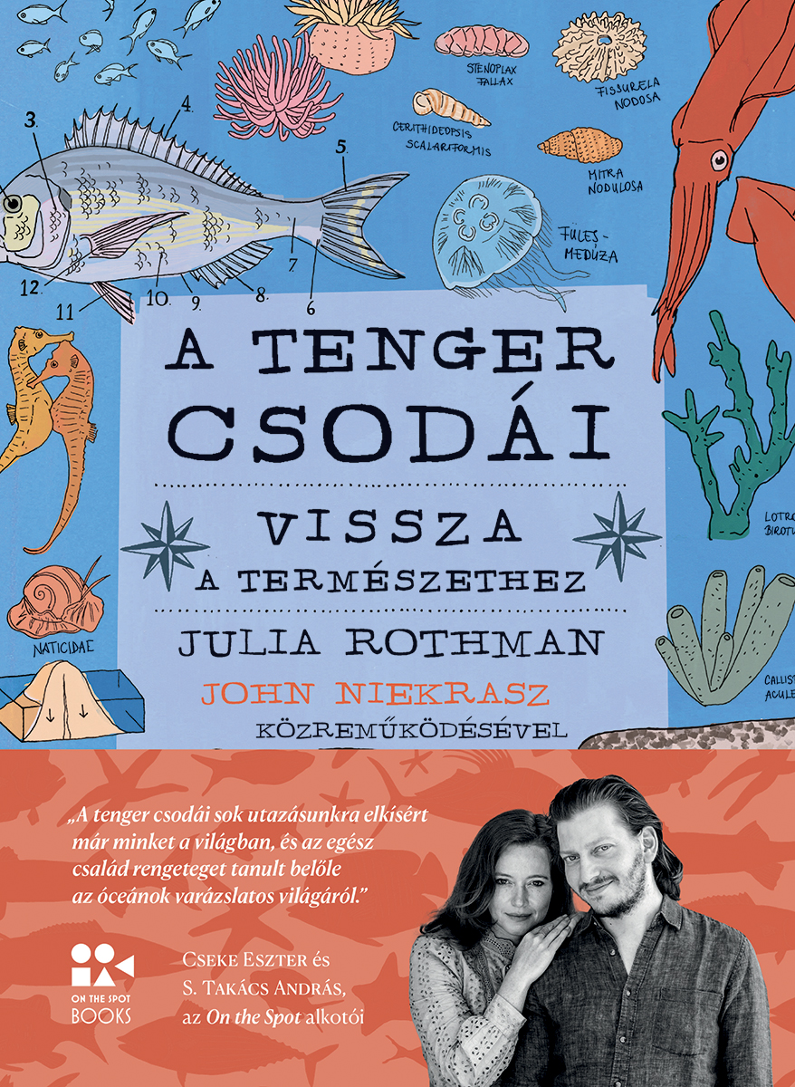 Julia Rothman: A tenger csodái - Nyomtatott - 6 499 Ft | Open Books